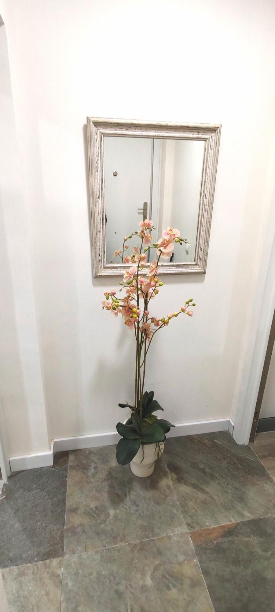 マドリードCasa El Oasisアパートメント エクステリア 写真